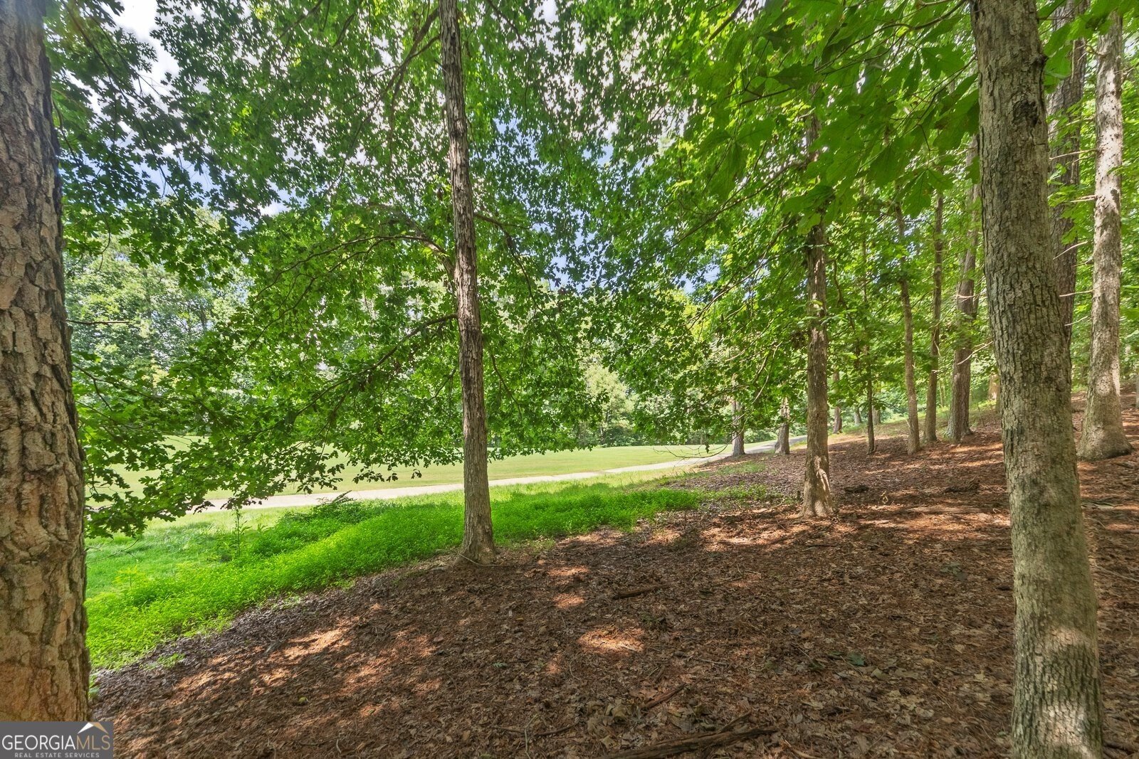 116 Birchwood Pass Canton - 48