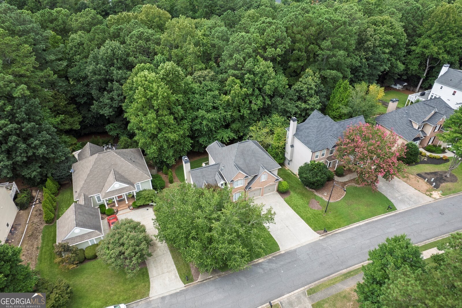 116 Birchwood Pass Canton - 49