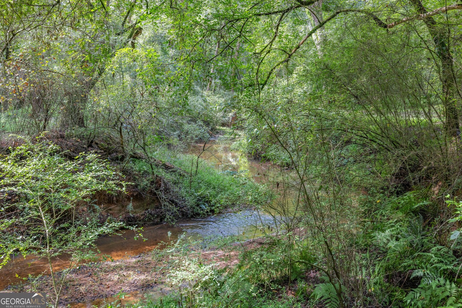 2185 Cabin Creek Road Nicholson - 48