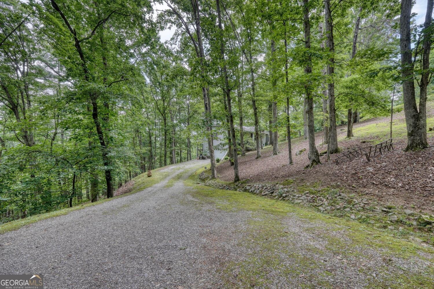 171 Mountain Top Road Blairsville - 1