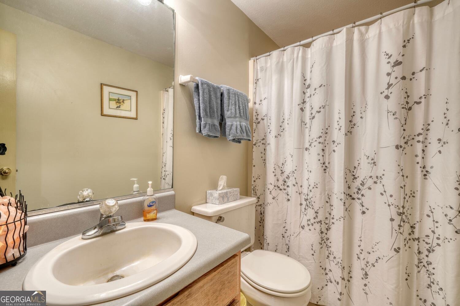 171 Mountain Top Road Blairsville - 34