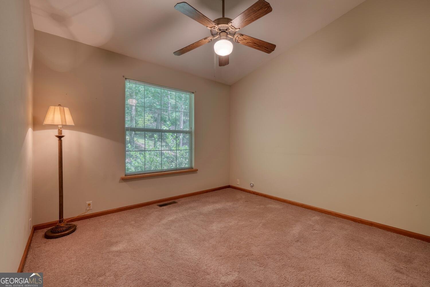 171 Mountain Top Road Blairsville - 39