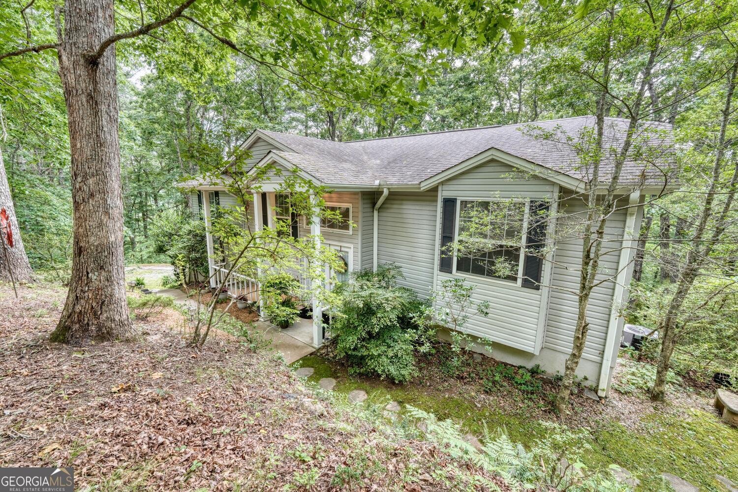 171 Mountain Top Road Blairsville - 4