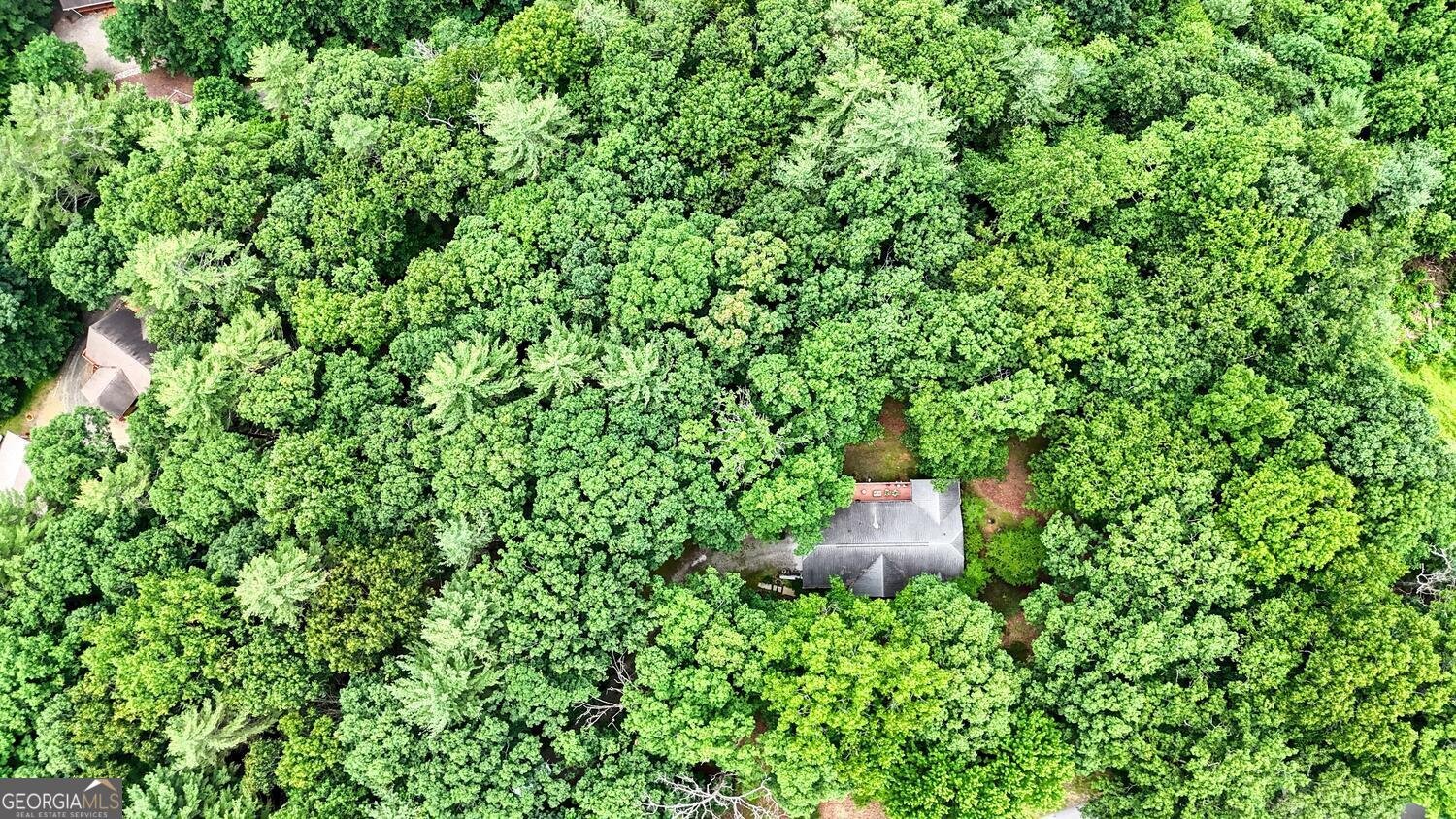 171 Mountain Top Road Blairsville - 56