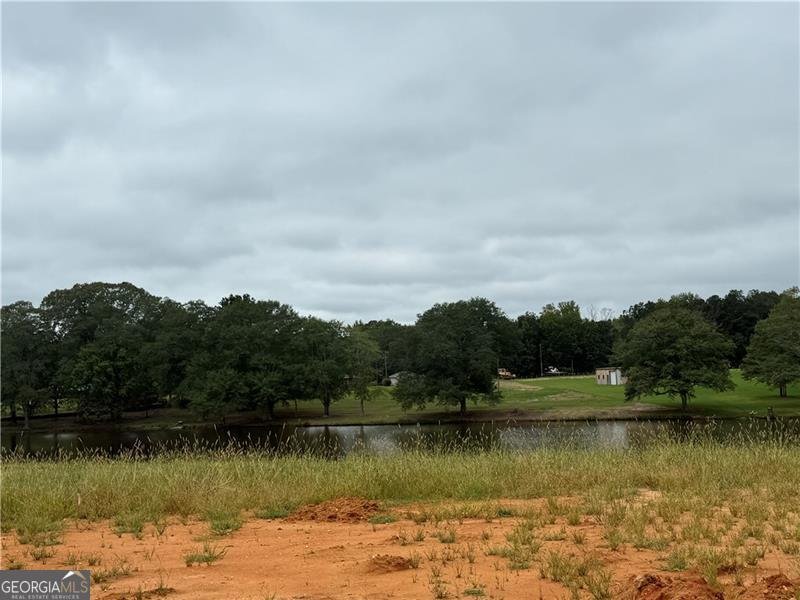 31 Lake Jane Path Dallas - 4
