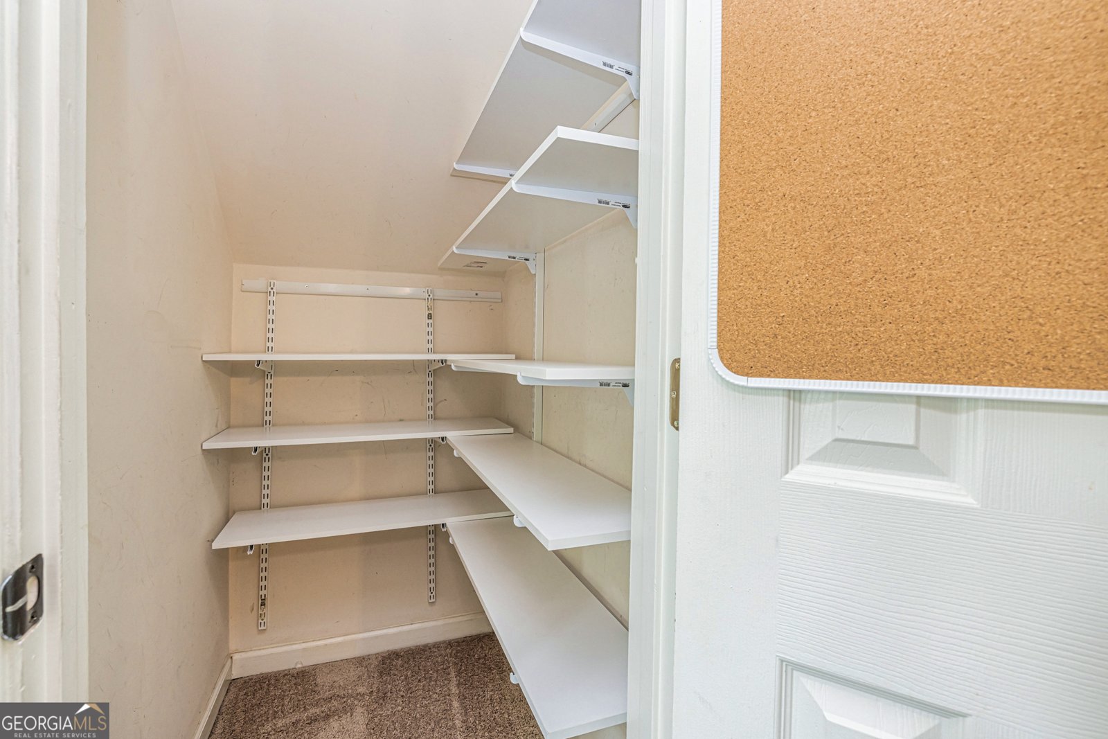 231 Clifton Lane Peachtree City - 20