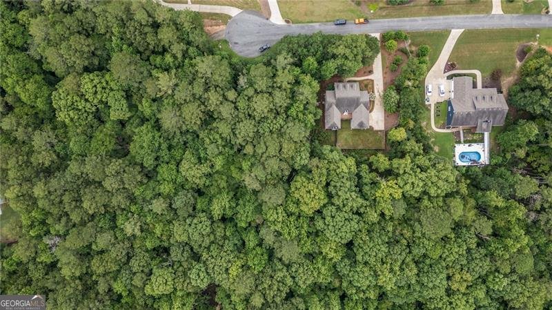 255 Heritage Creek Trail Ball Ground - 38