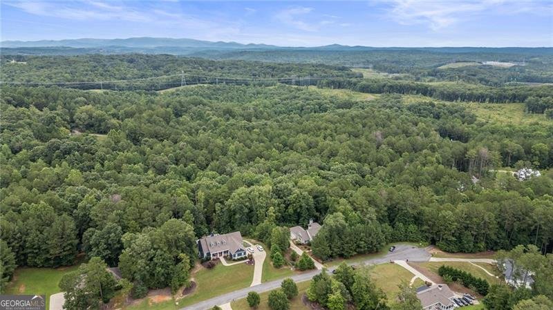 255 Heritage Creek Trail Ball Ground - 39