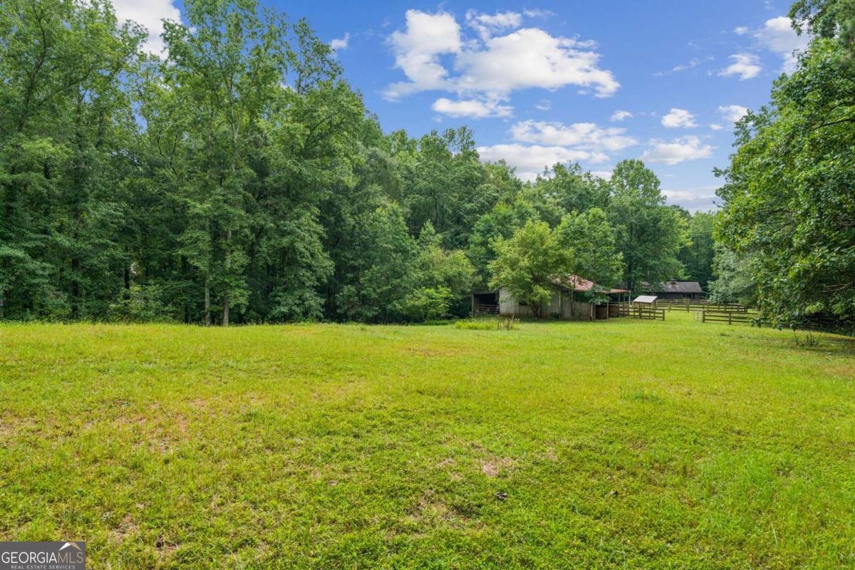 769 Cotton Road Canton - 25