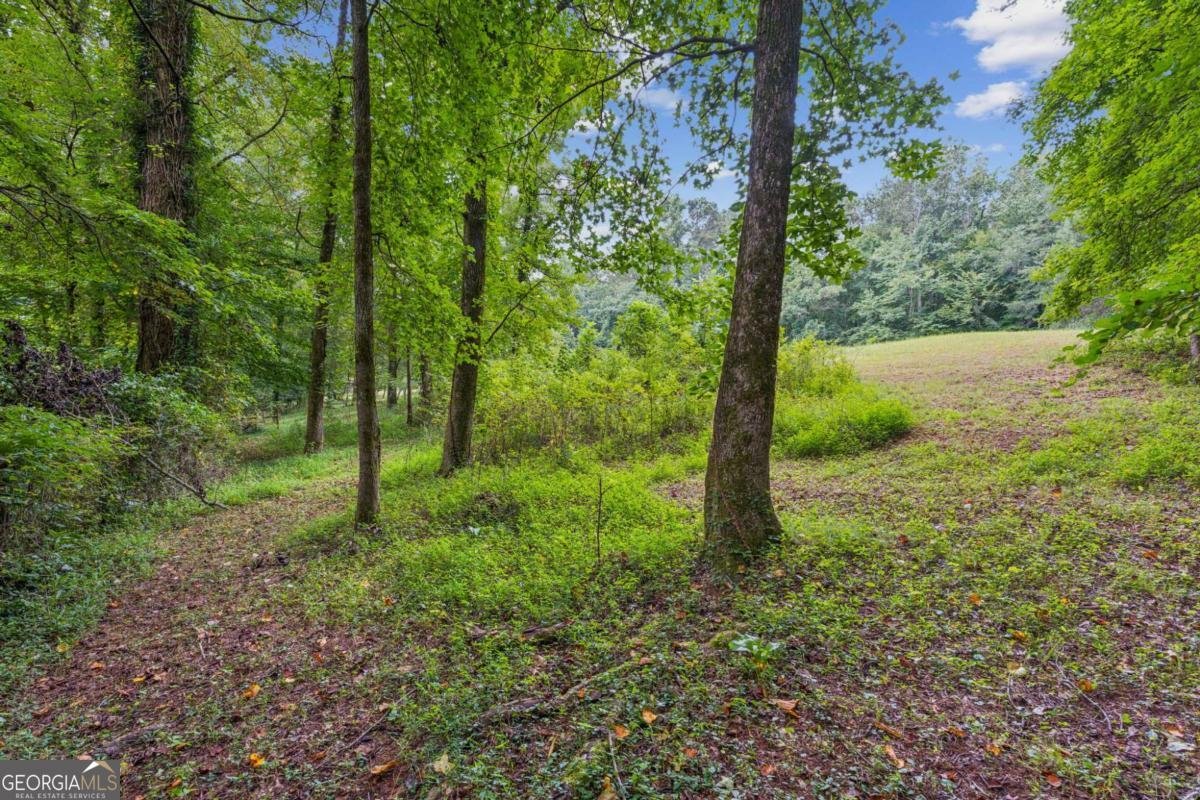769 Cotton Road Canton - 26