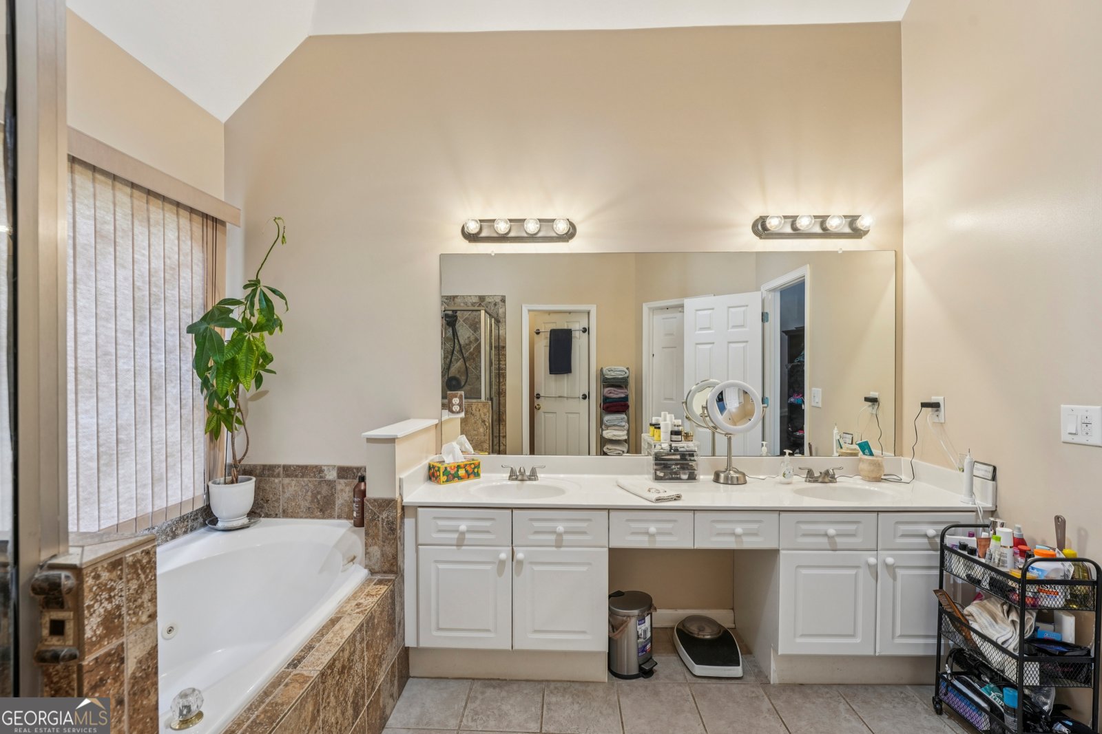 3 Briar Grove Newnan - 17