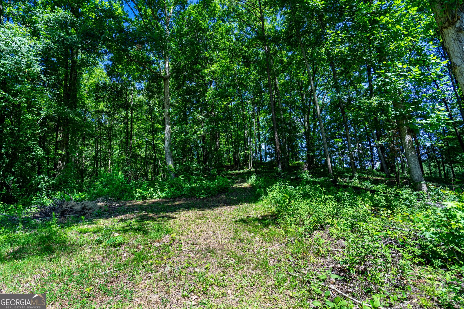 106 Ivy Court Lagrange - 16
