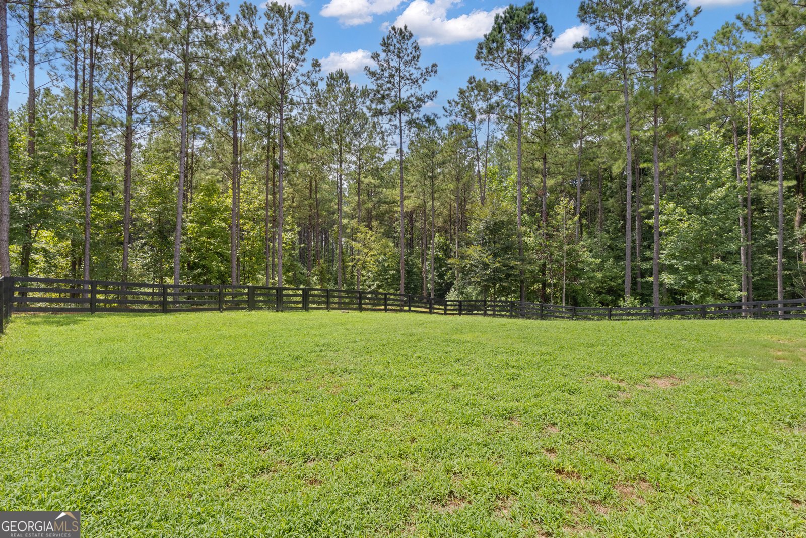 263 Bill Estes Road Senoia - 49