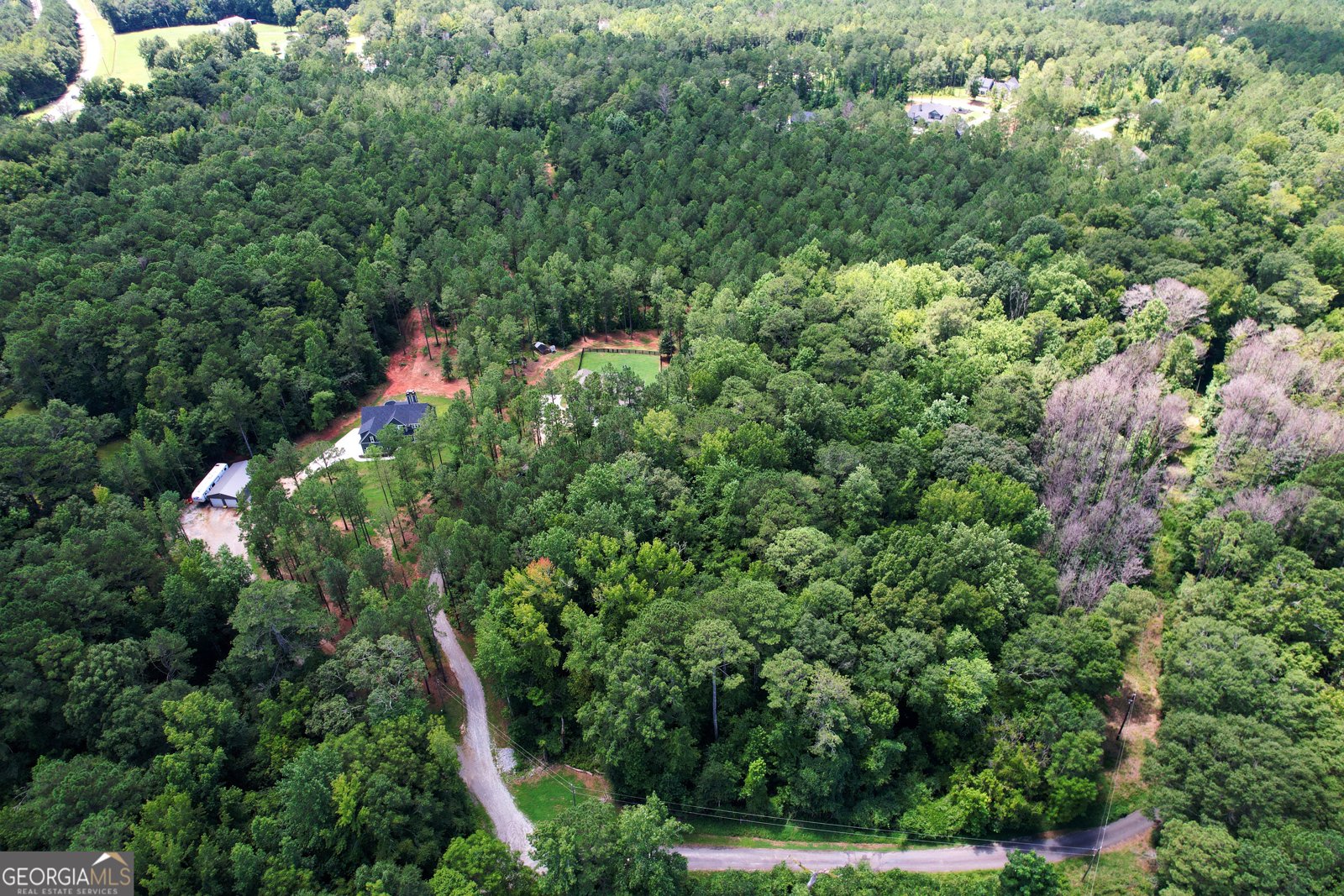 263 Bill Estes Road Senoia - 51