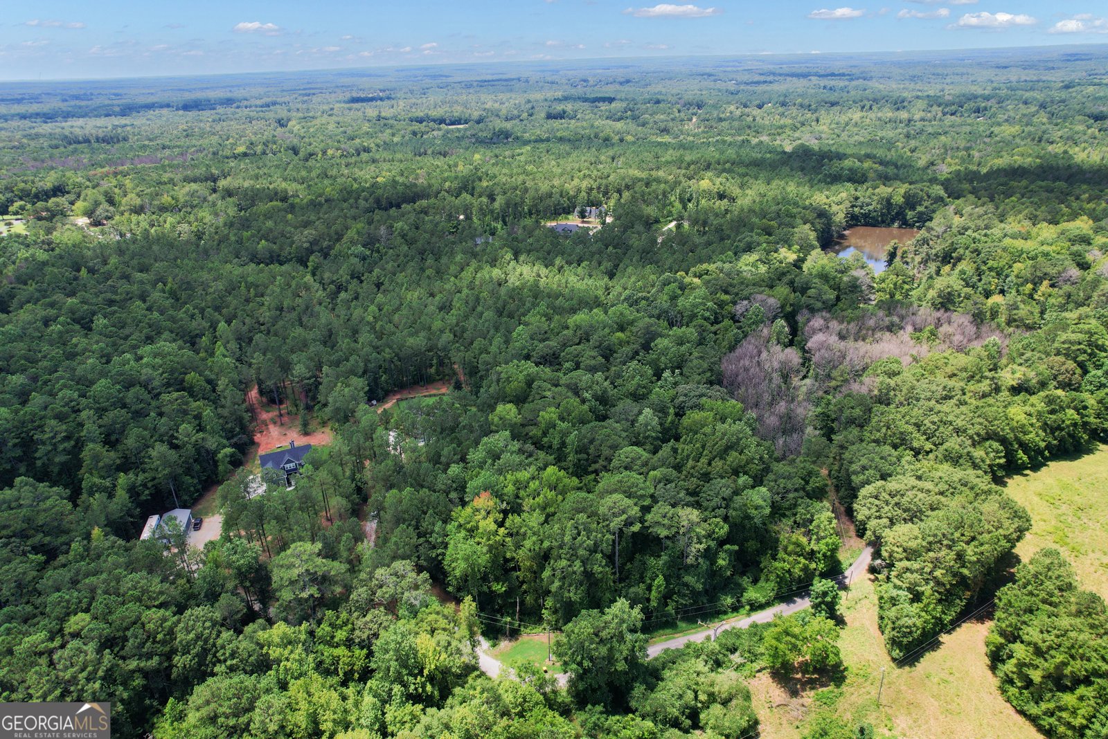 263 Bill Estes Road Senoia - 54
