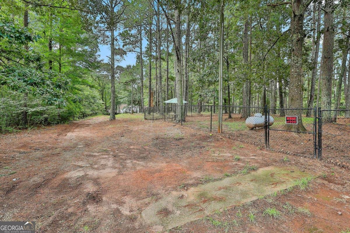 19 Bear Creek Trail Moreland - 2