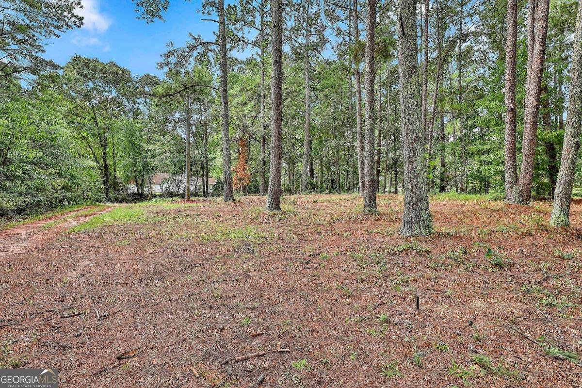 19 Bear Creek Trail Moreland - 3