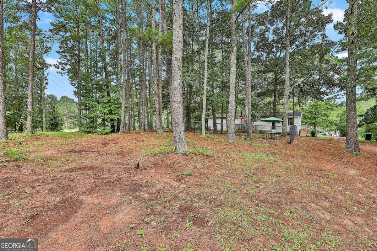 19 Bear Creek Trail Moreland - 5