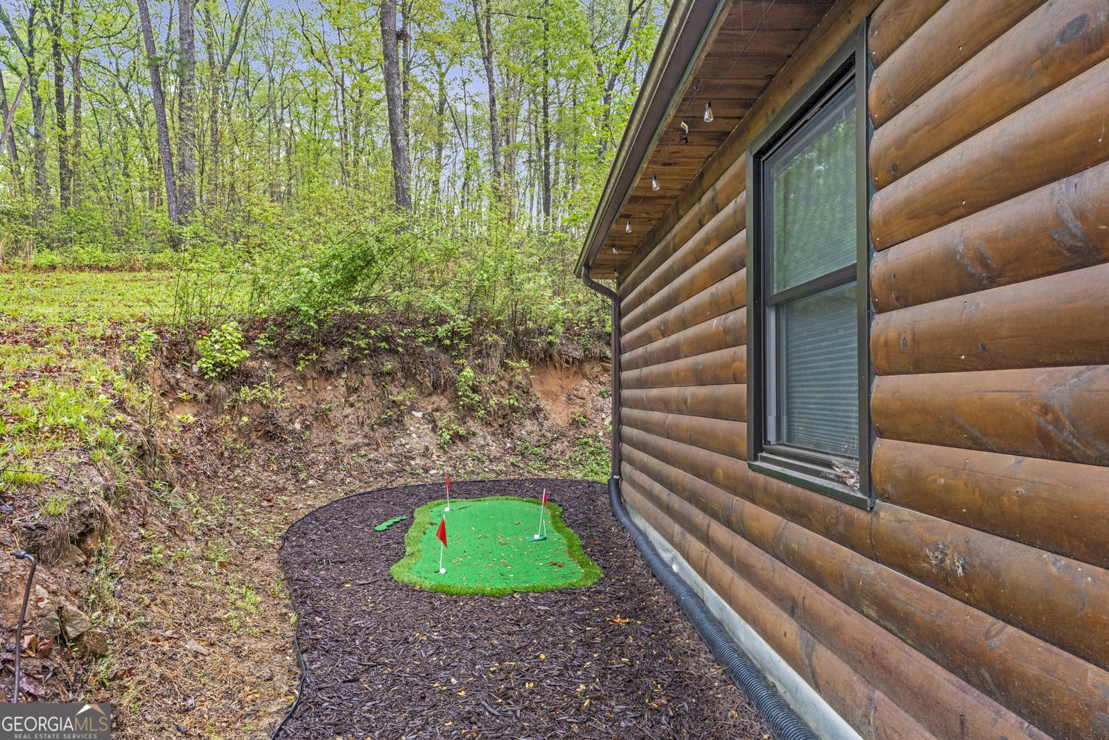 176 Meadow Creek Way Blue Ridge - 42