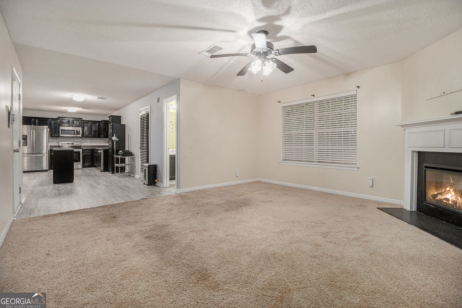 5803 Star Flower Drive Ellenwood - 8