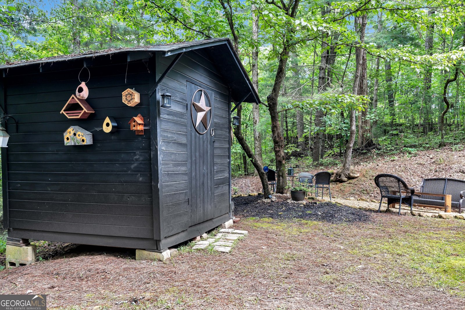 728 Pleasant Gap Road Ellijay - 8