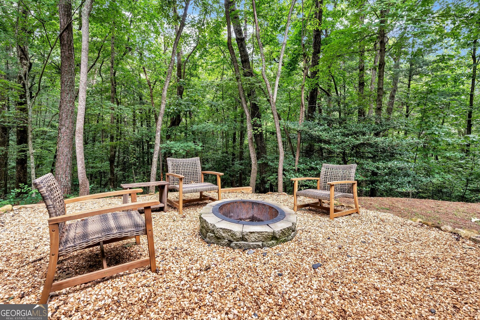 728 Pleasant Gap Road Ellijay - 9