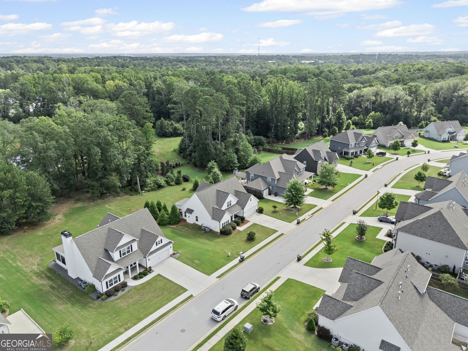 150 Duck Drive Senoia - 3