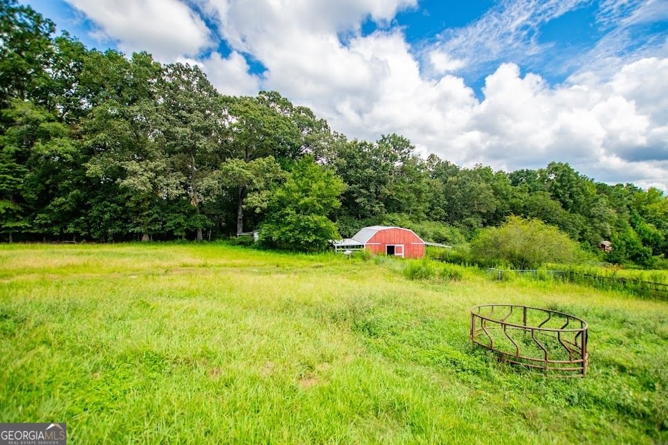 901 Tallapoosa East Church Road Buchanan - 8