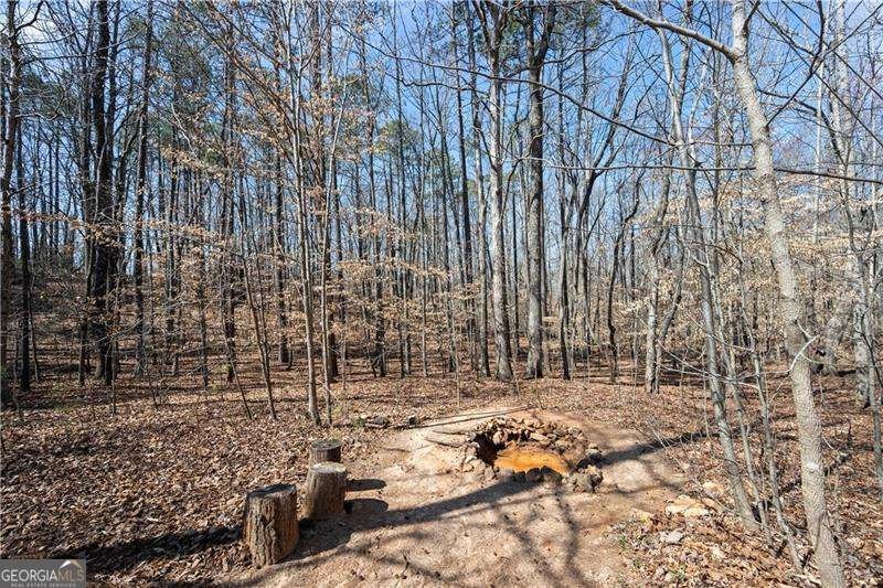 9246 BANKS MILL Road Winston - 37