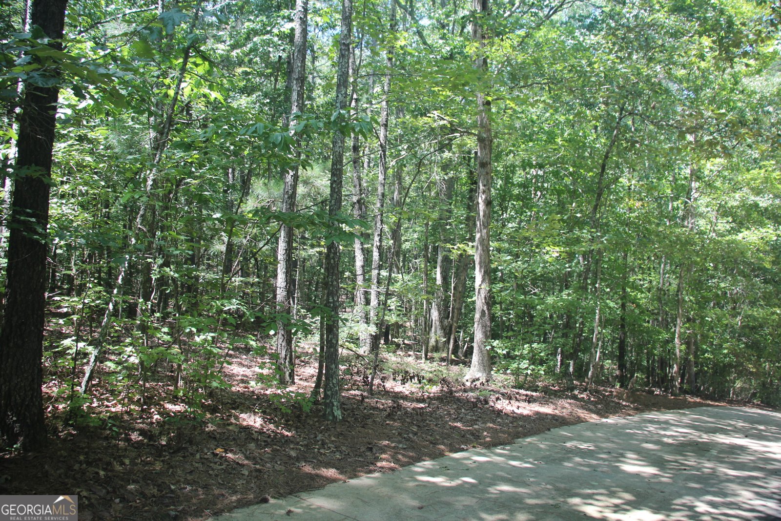 9246 BANKS MILL Road Winston - 42