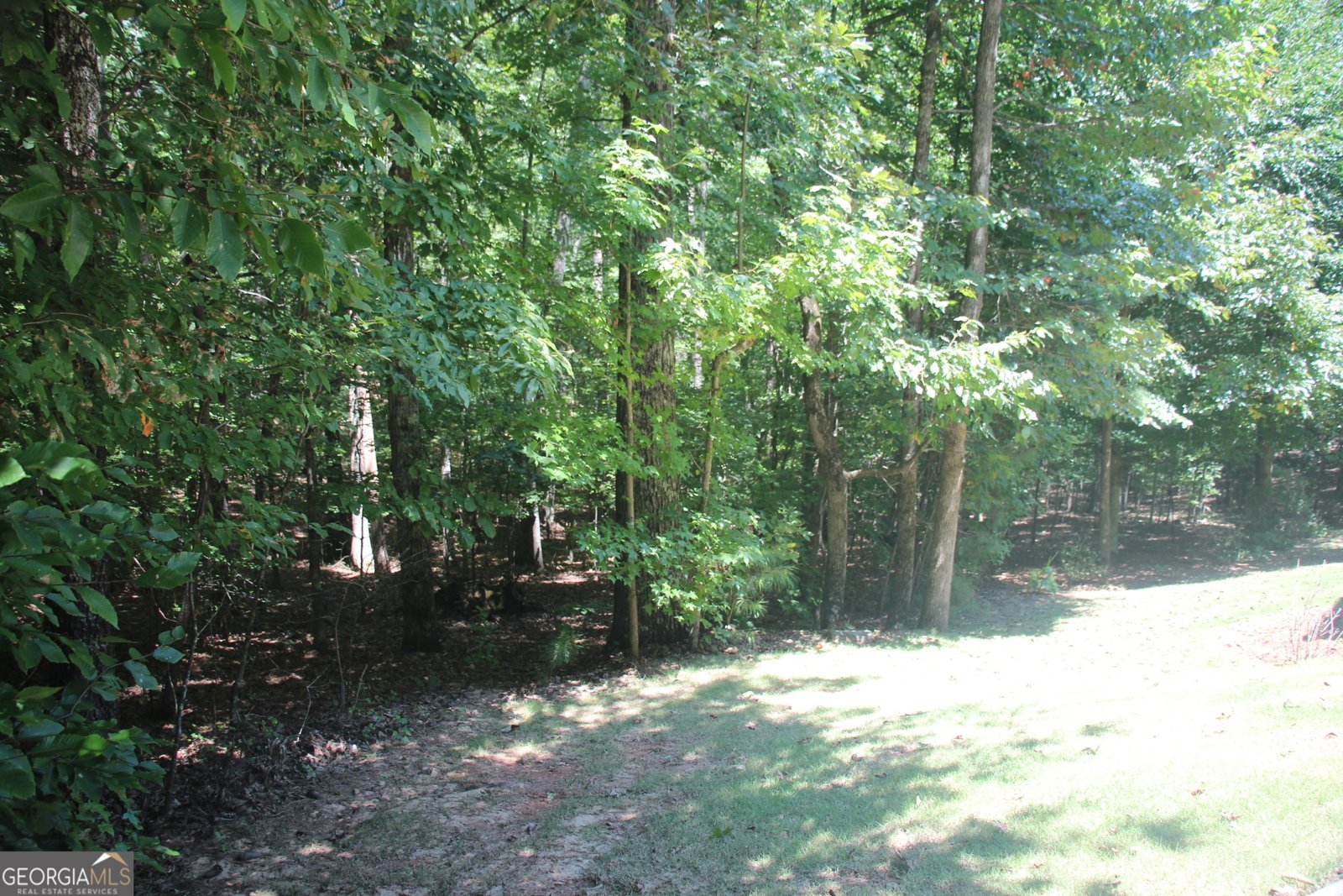 9246 BANKS MILL Road Winston - 45