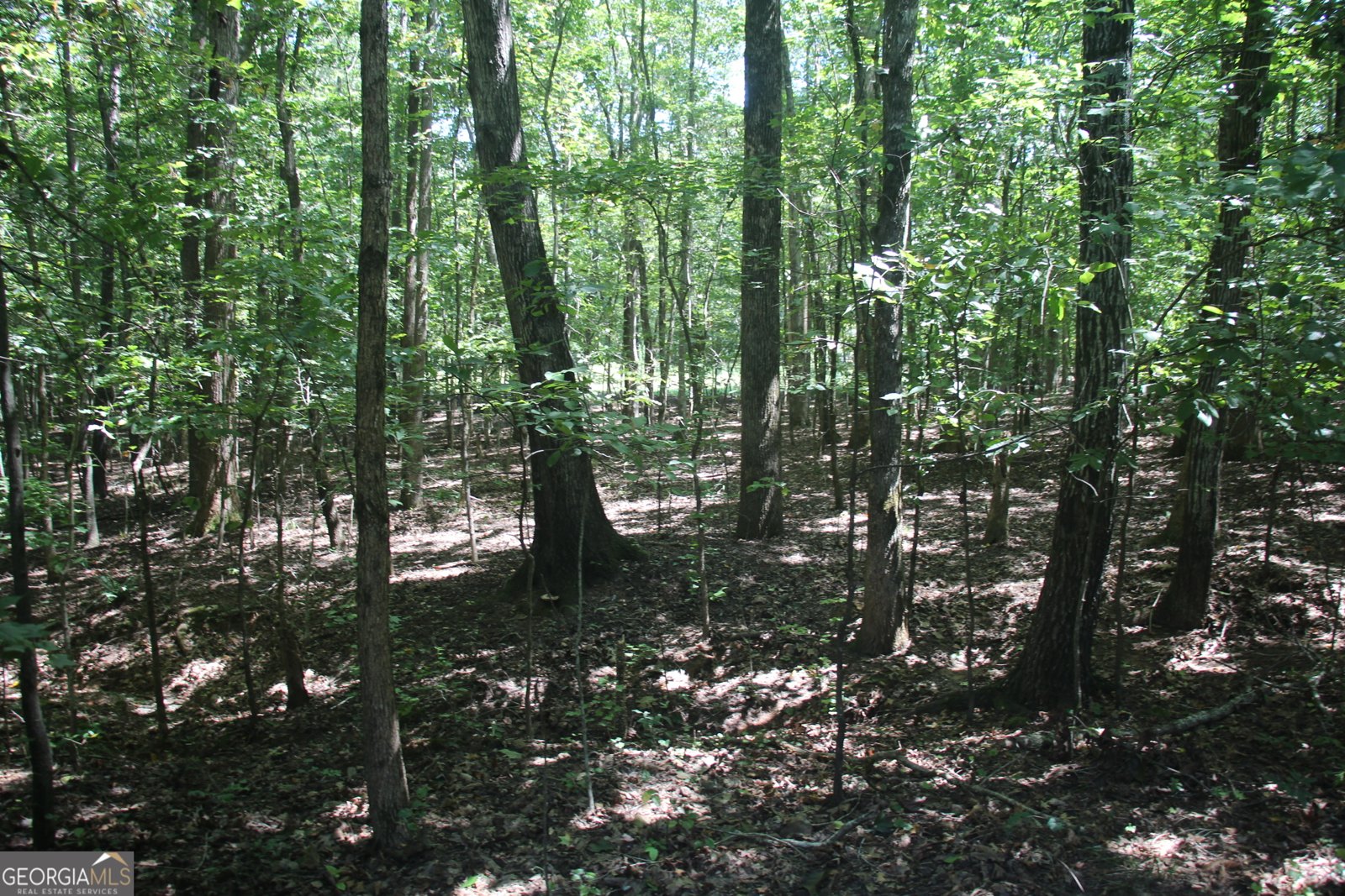9246 BANKS MILL Road Winston - 46