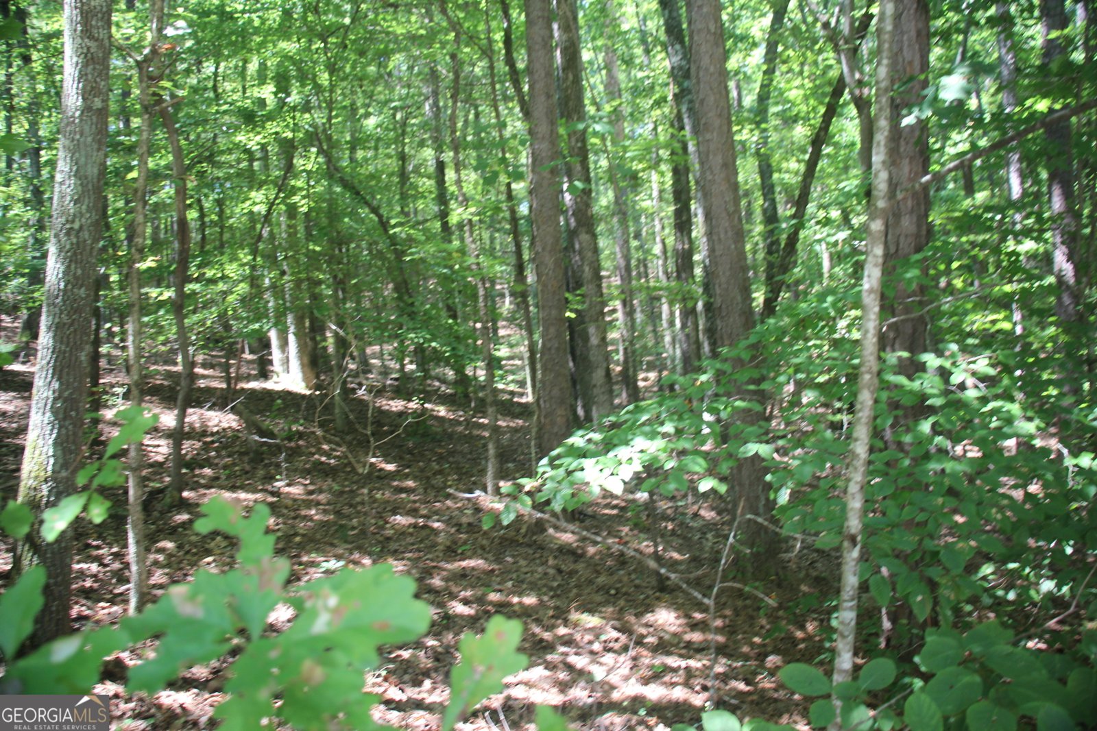 9246 BANKS MILL Road Winston - 47