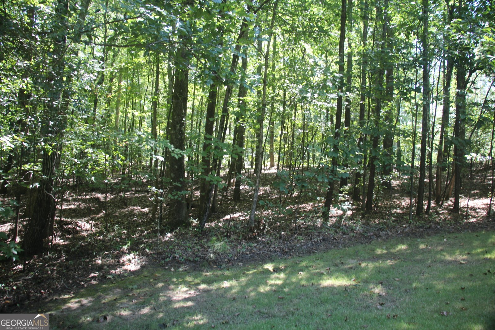 9246 BANKS MILL Road Winston - 48