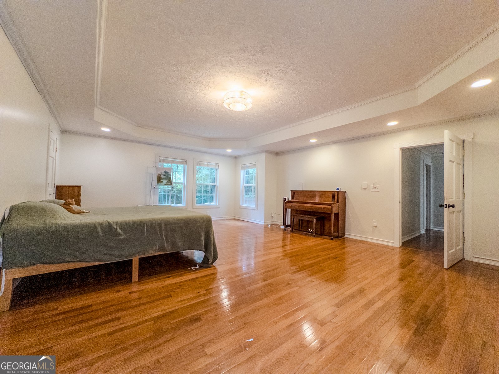 90 Howard Road Senoia - 16