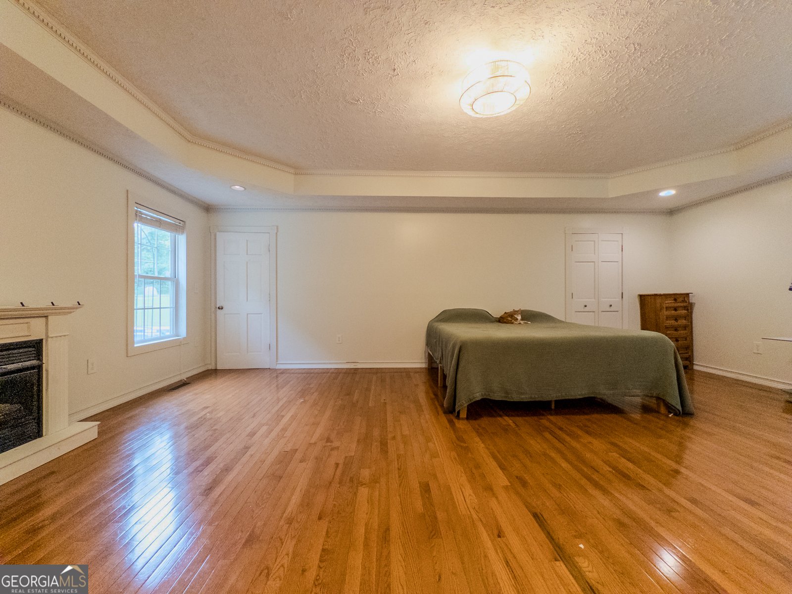 90 Howard Road Senoia - 17