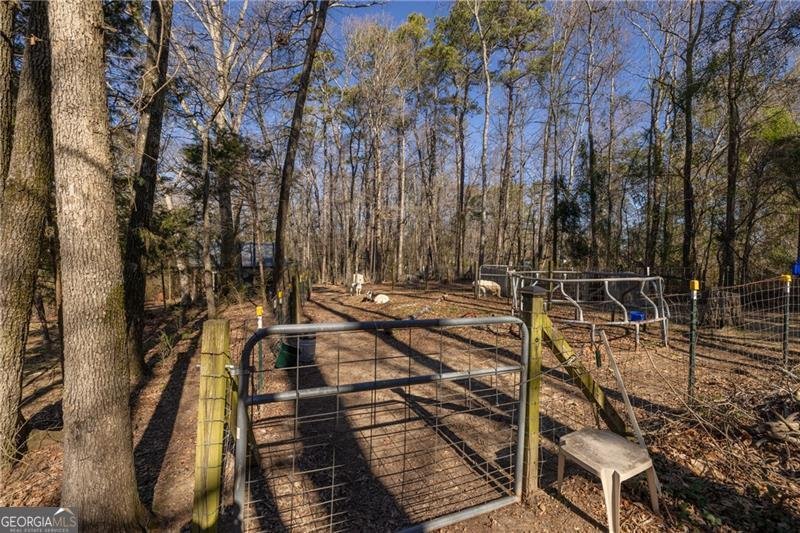 3890 Irwin Bridge Road Conyers - 15