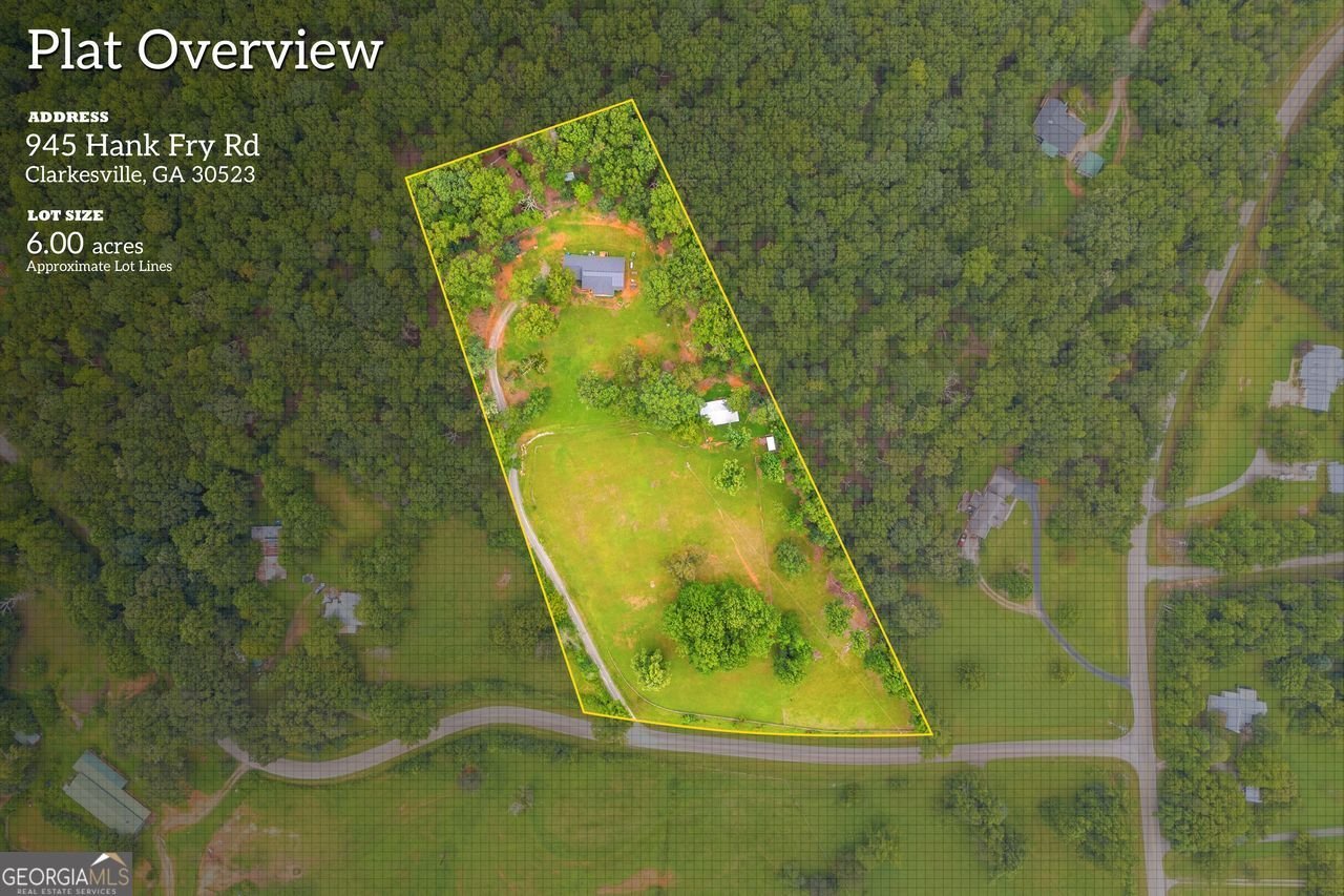 945 HANK FRY Road Clarkesville - 2
