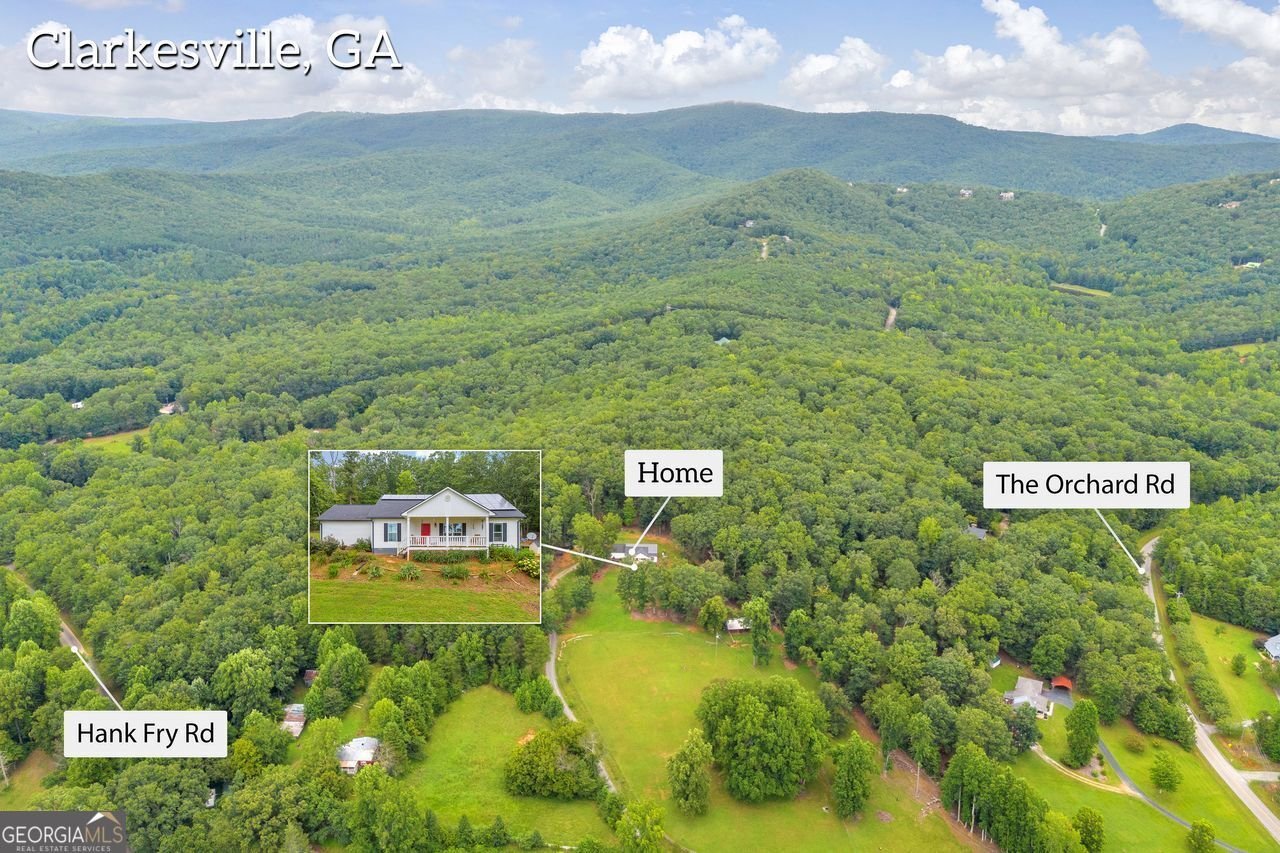 945 HANK FRY Road Clarkesville - 3