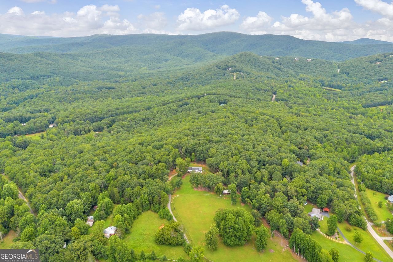 945 HANK FRY Road Clarkesville - 5