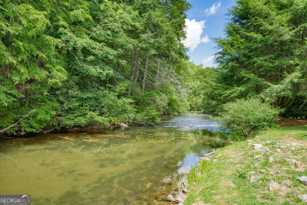 63 By The River Drive Suches - 21
