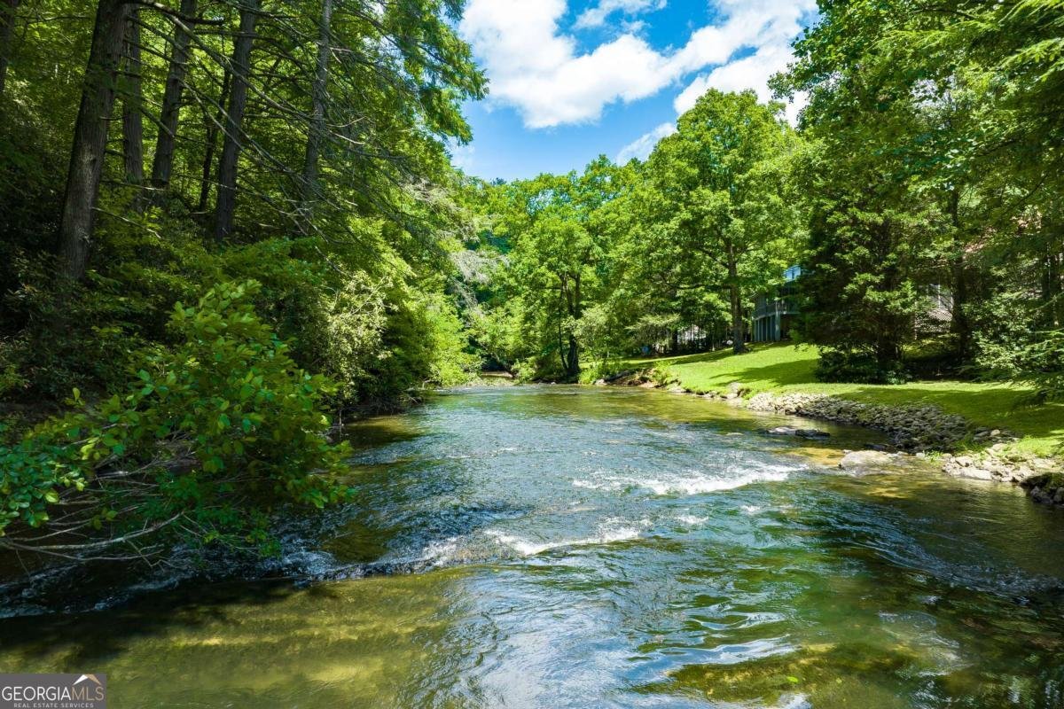 63 By The River Drive Suches - 4