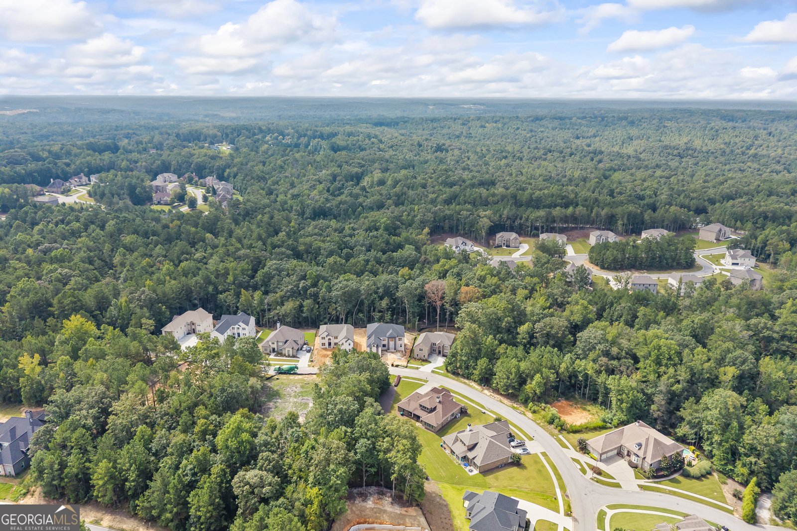 4255 Matisse Lane Fairburn - 21