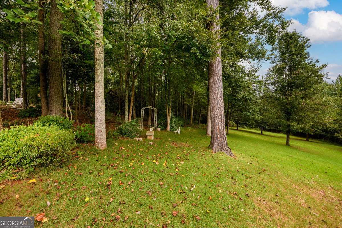 1216 Alcovy Ridge Drive Loganville - 46