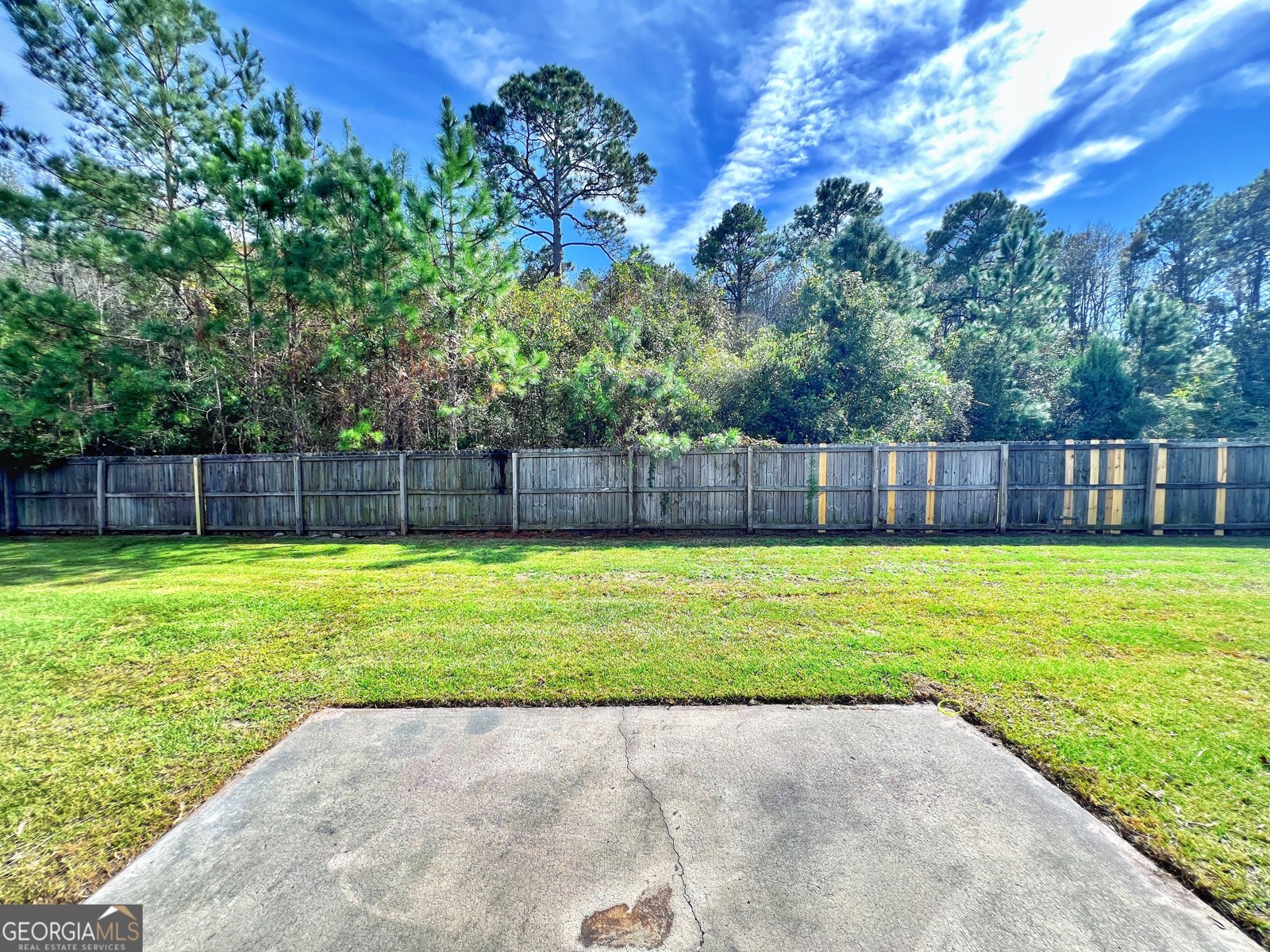 219 Augusta Way Hinesville - 29