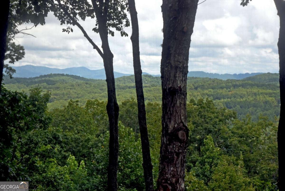 594 High Country Lane Morganton - 19