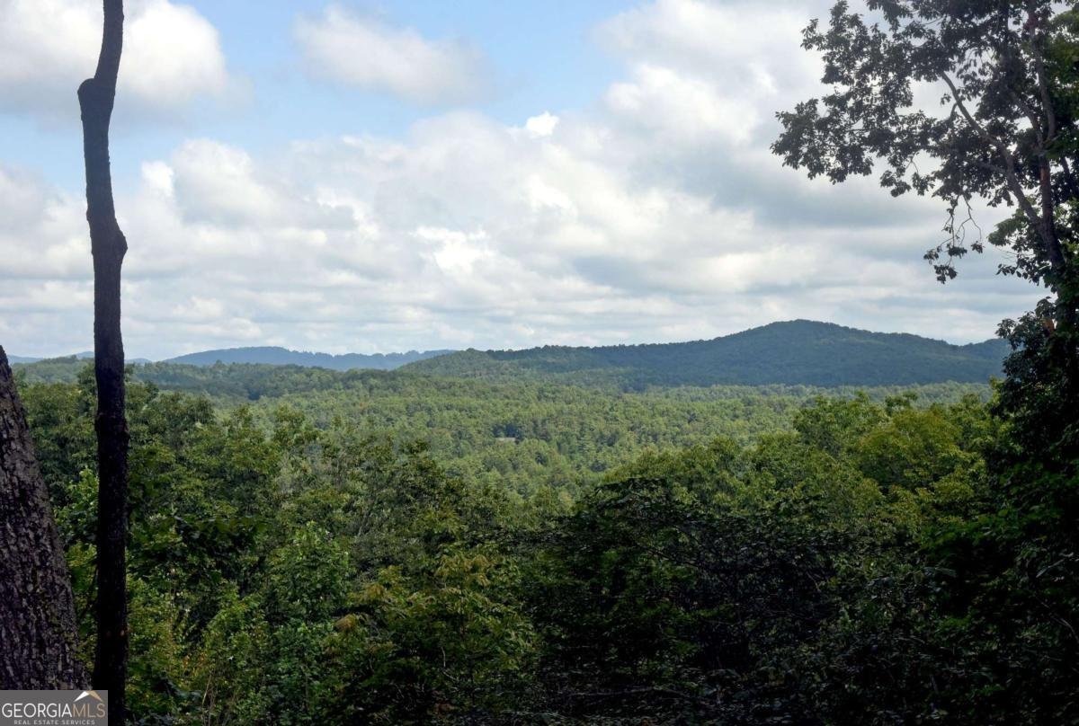 594 High Country Lane Morganton - 21