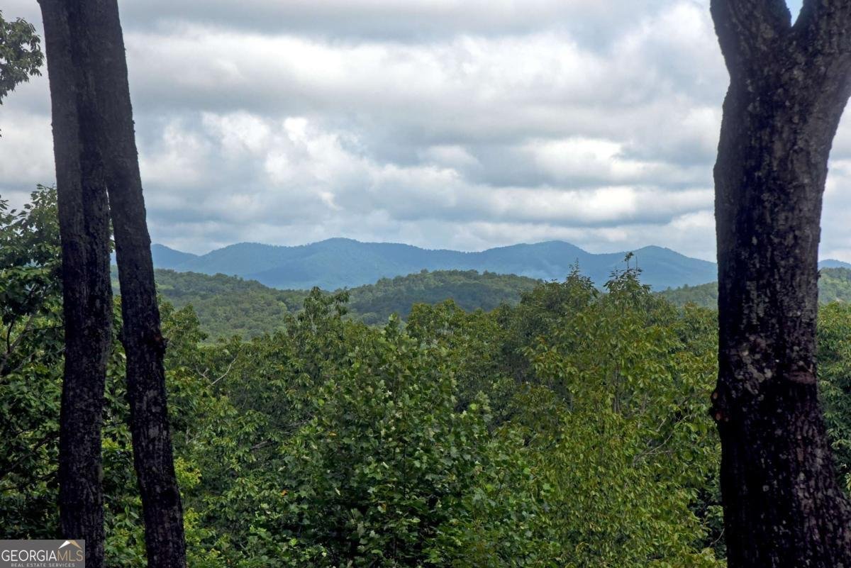 594 High Country Lane Morganton - 22