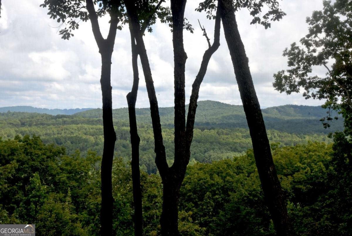 594 High Country Lane Morganton - 23