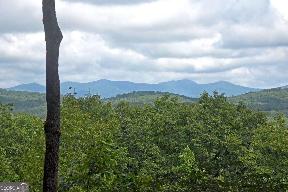 594 High Country Lane Morganton - 24